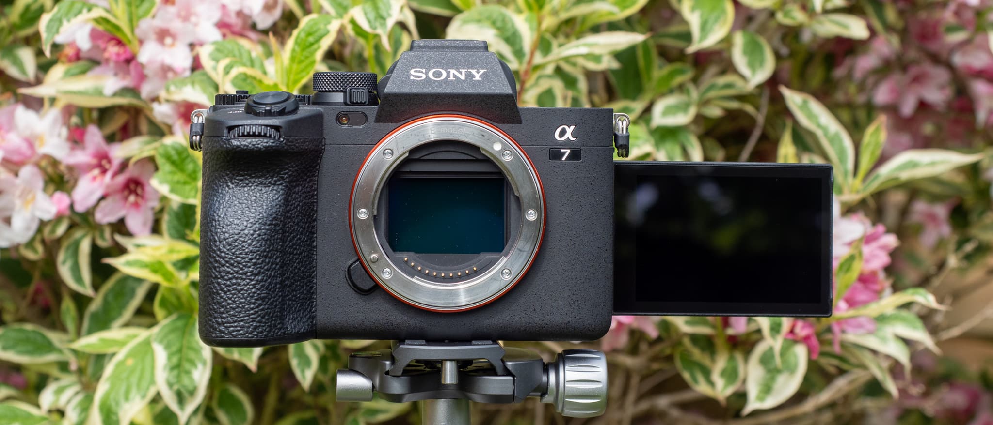 a7v sony